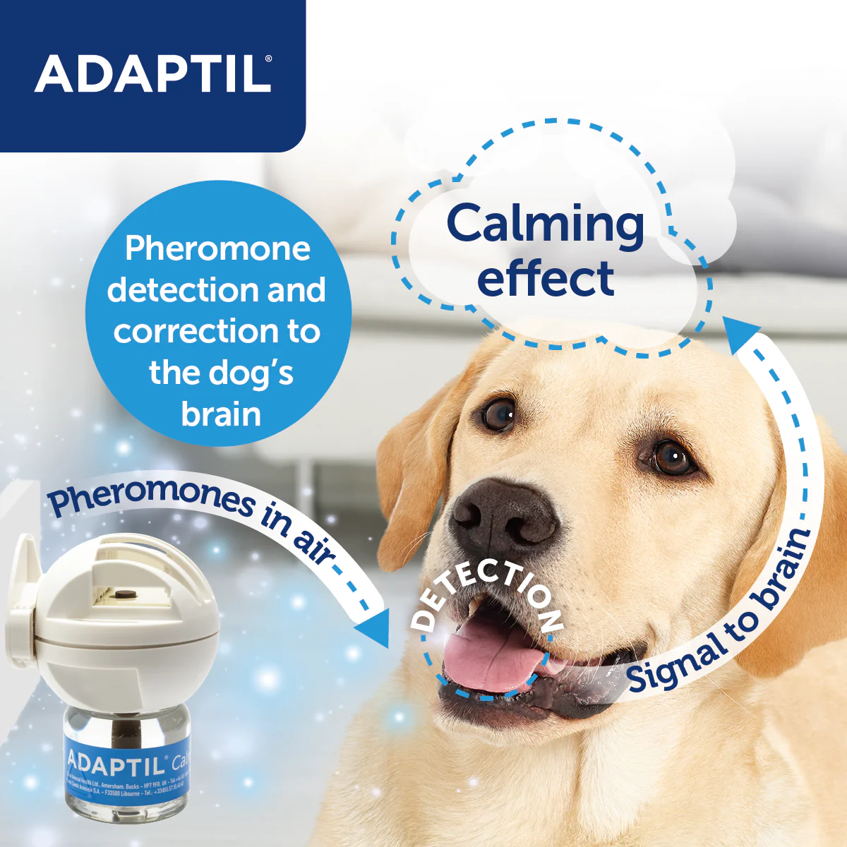 Adaptil Calm Refill - Image 5
