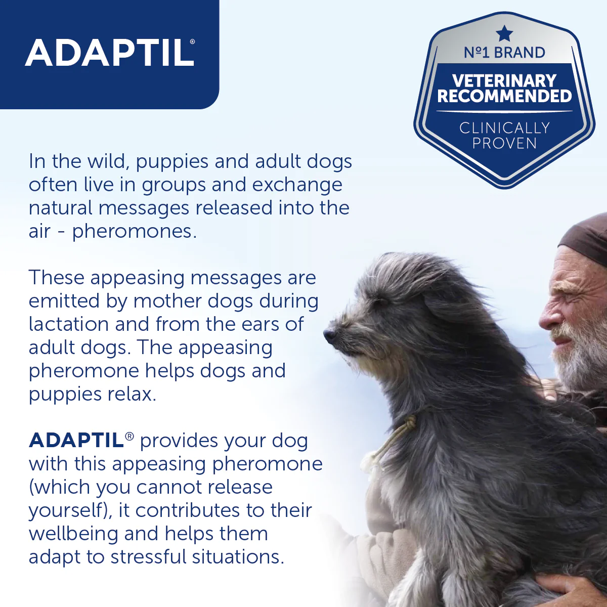 Adaptil Collar Calm on the Go - Image 4