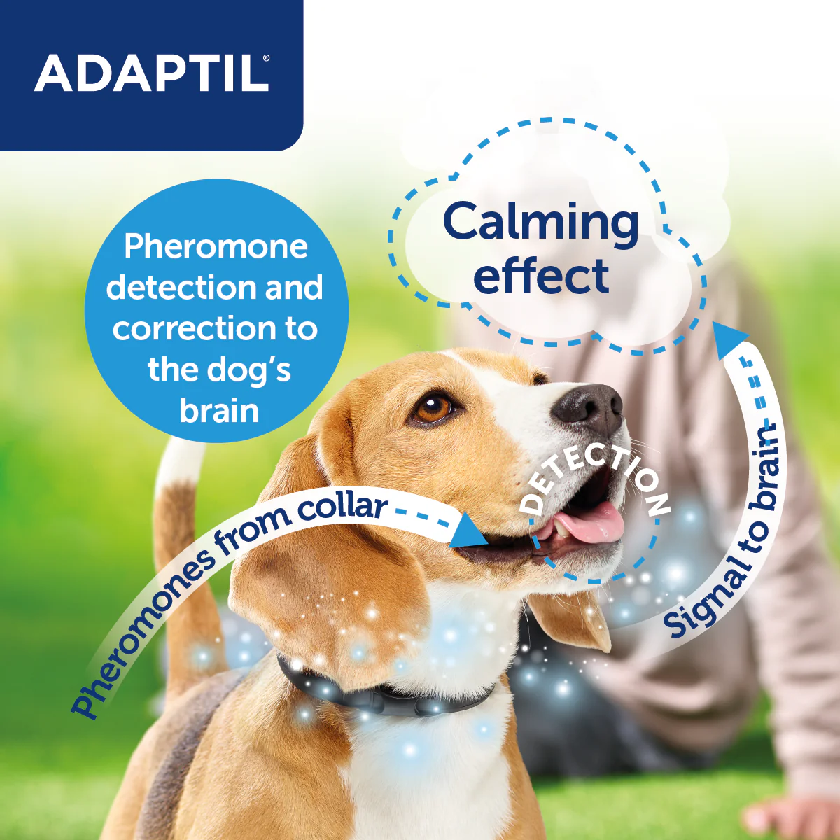 Adaptil Collar Calm on the Go - Image 5