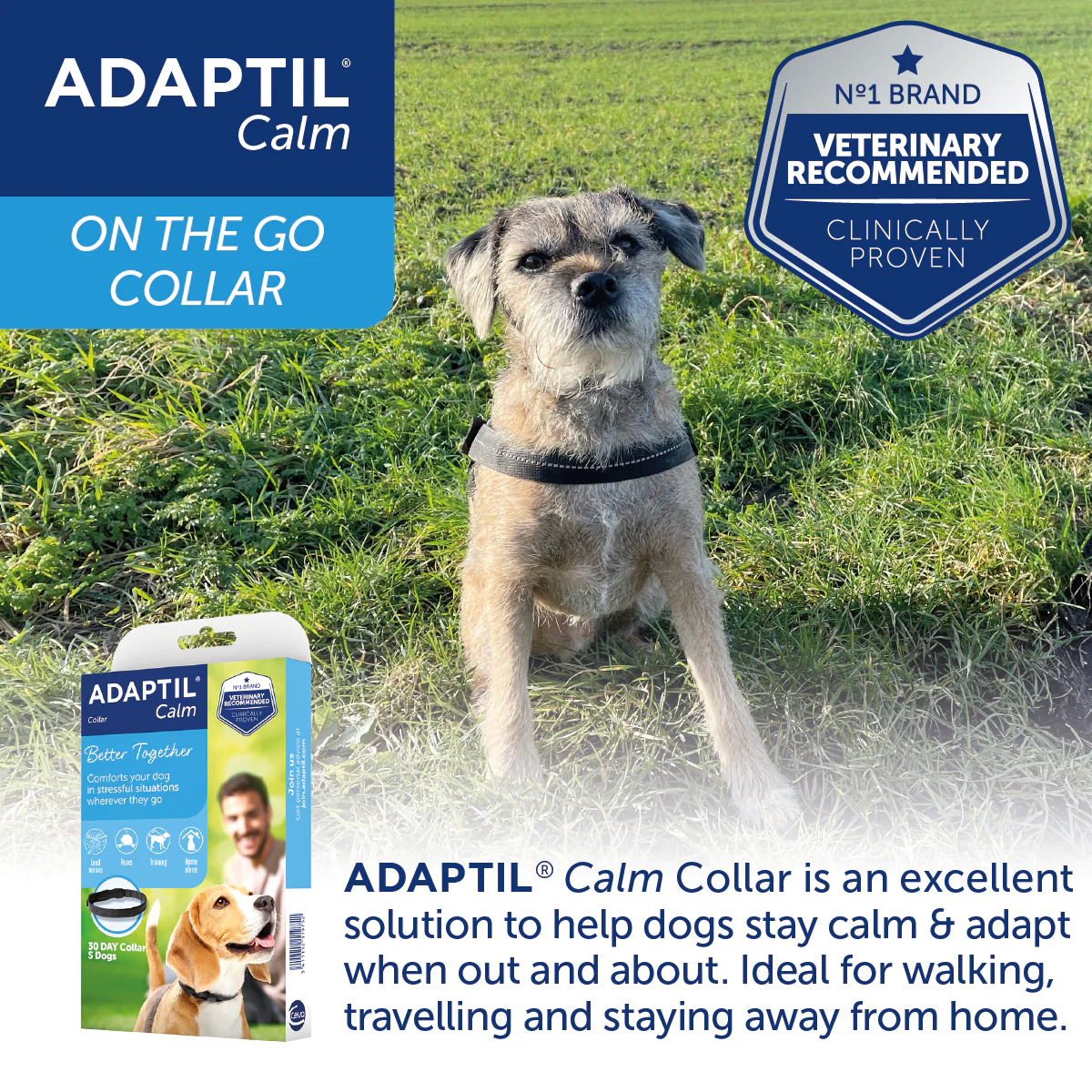 Adaptil Collar Calm on the Go - Image 6