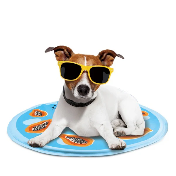 All For Paws Chill Out Papaya Cooling Mat - Image 3