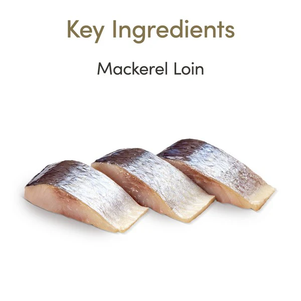 Applaws Cat Mackerel Loin - Image 4