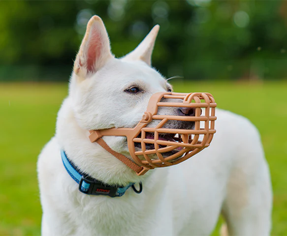 Baskerville Classic Basket Dog Muzzle (10 sizes) - Image 6
