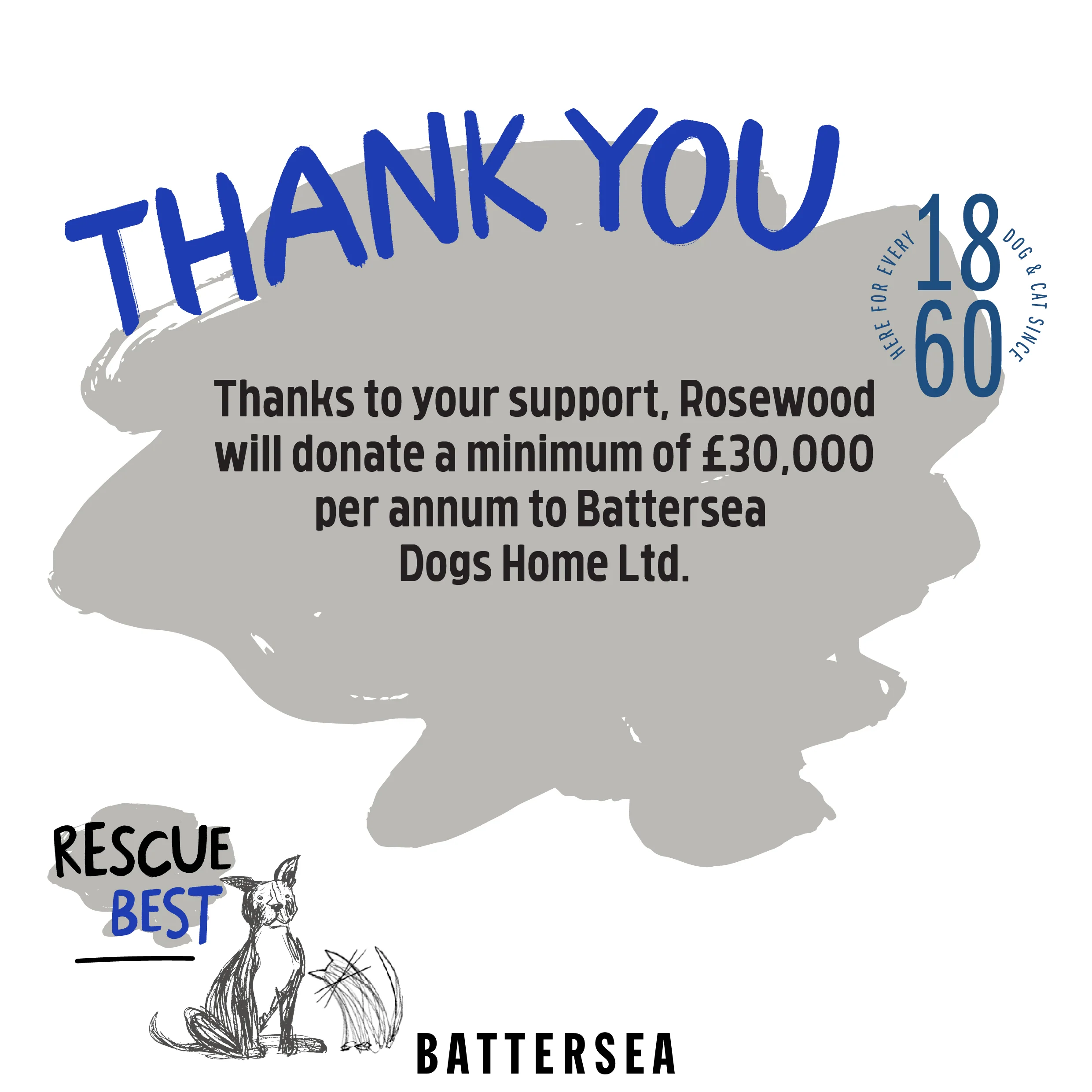 Battersea Blueberry Snuffle Pie Cat Toy - Image 8