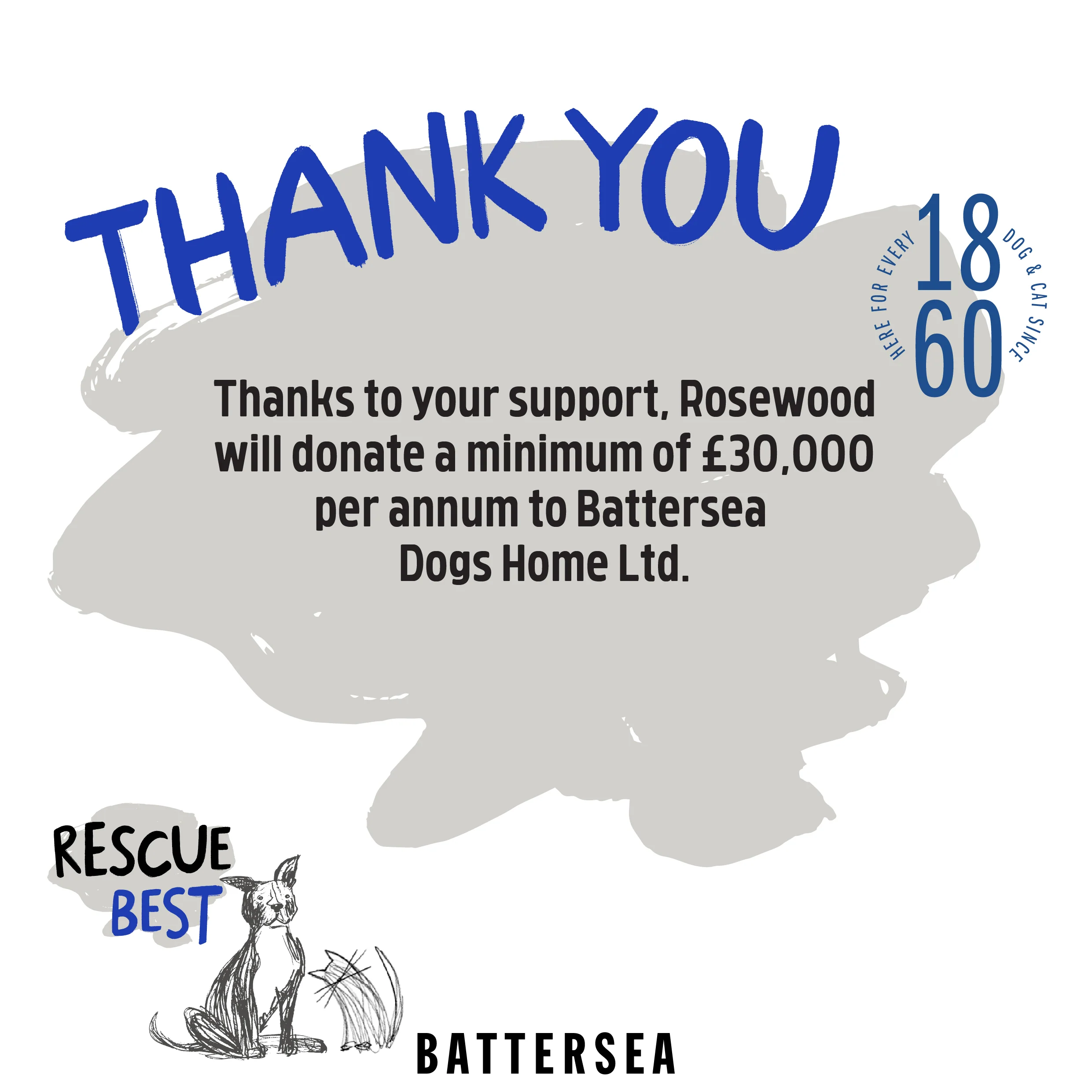 Battersea Bugs Snail Teaser Cat Toy - Image 10