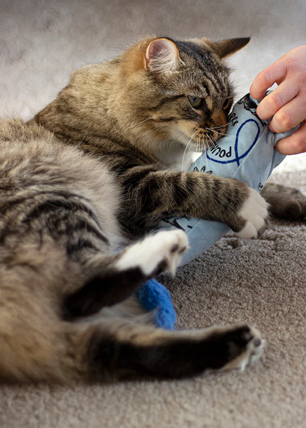 Battersea Cat Kicker Cat Toy - Image 7