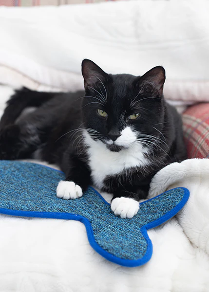 Battersea Fish Shaped Cat Scratcher Mat - Image 4