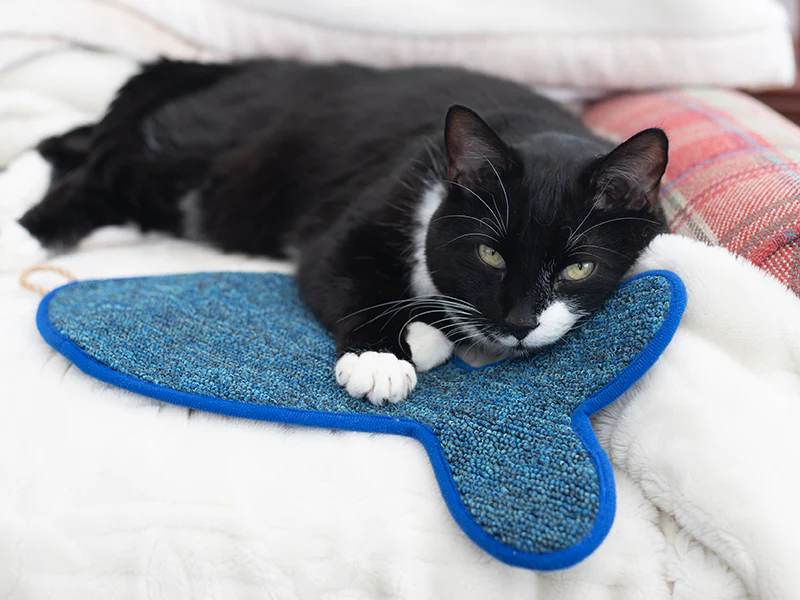 Battersea Fish Shaped Cat Scratcher Mat - Image 5