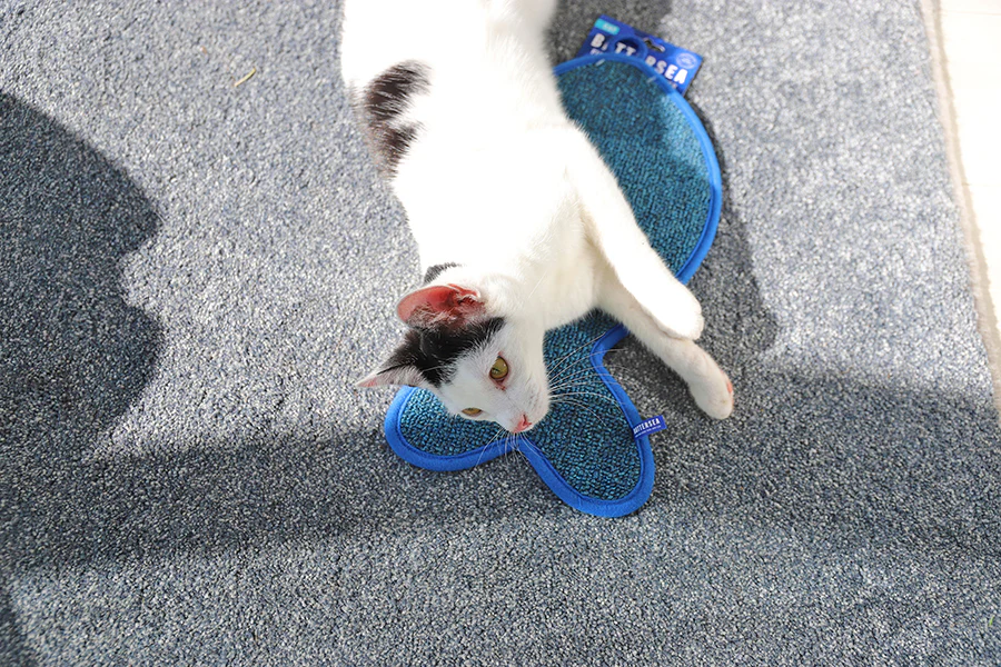 Battersea Fish Shaped Cat Scratcher Mat - Image 6