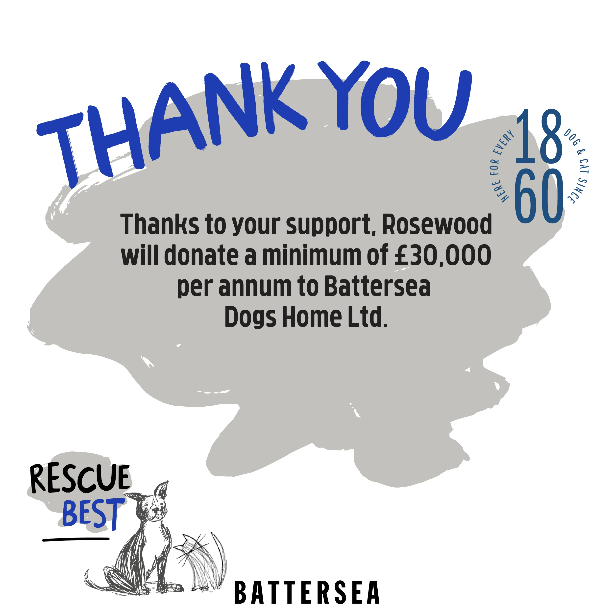 Battersea Peek-A-Boo Sack for Cats - Image 12