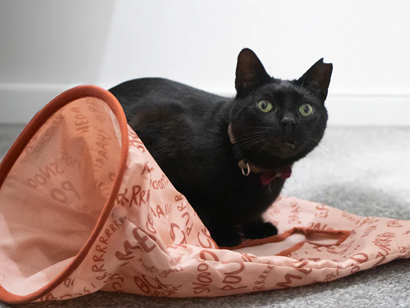 Battersea Peek-A-Boo Sack for Cats - Image 8