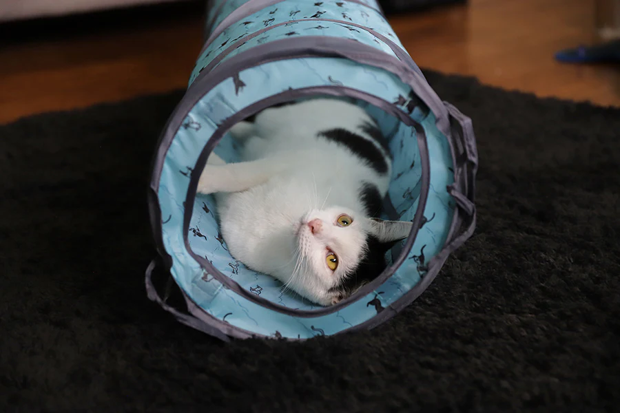 Battersea Pop Up Play Tent & Tunnel for Cats - Image 6