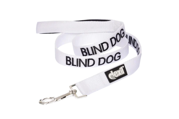 "Blind" Dog Lead by Friendly Dog Collars