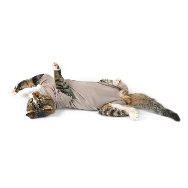Body Suit Cat Step'n Go (4 sizes) - Image 4