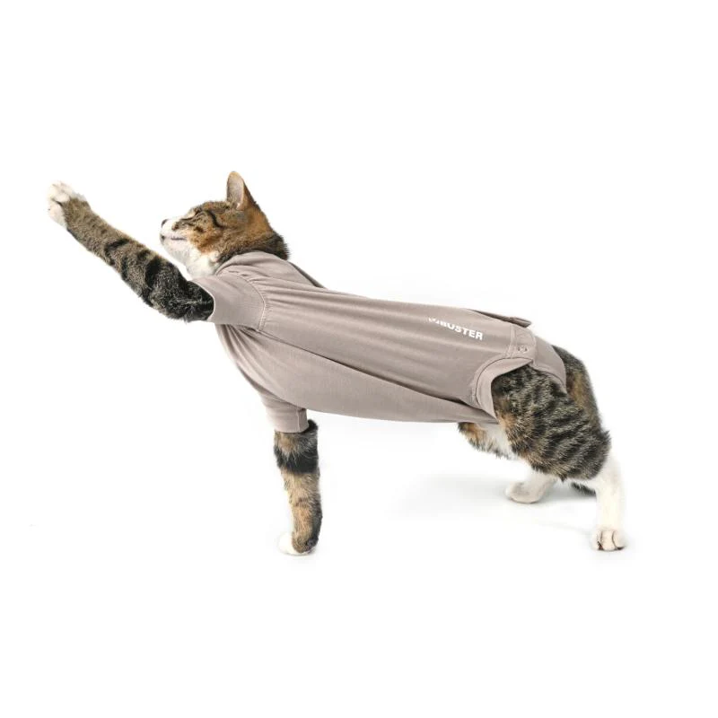 Body Suit Cat Step'n Go (4 sizes) - Image 5
