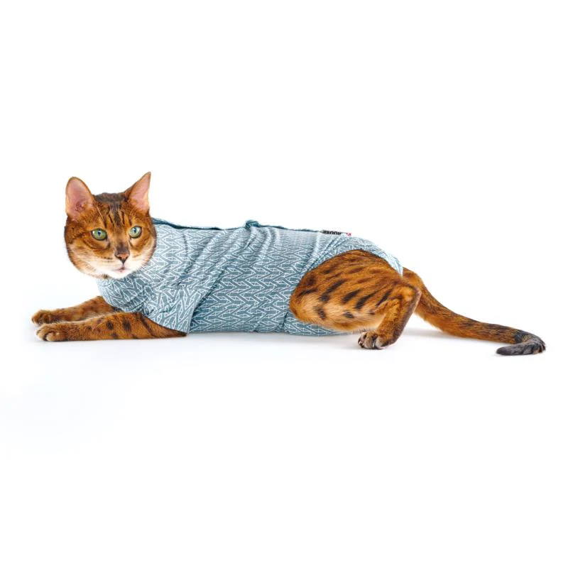 Body Suit Cat Step'n Go Blue (4 sizes) - Image 3