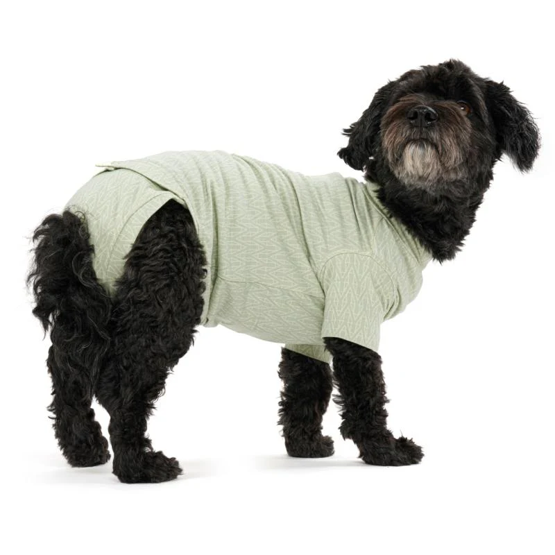 Body Suit Dog Step'n Go Dusty Green (5 sizes) - Image 2