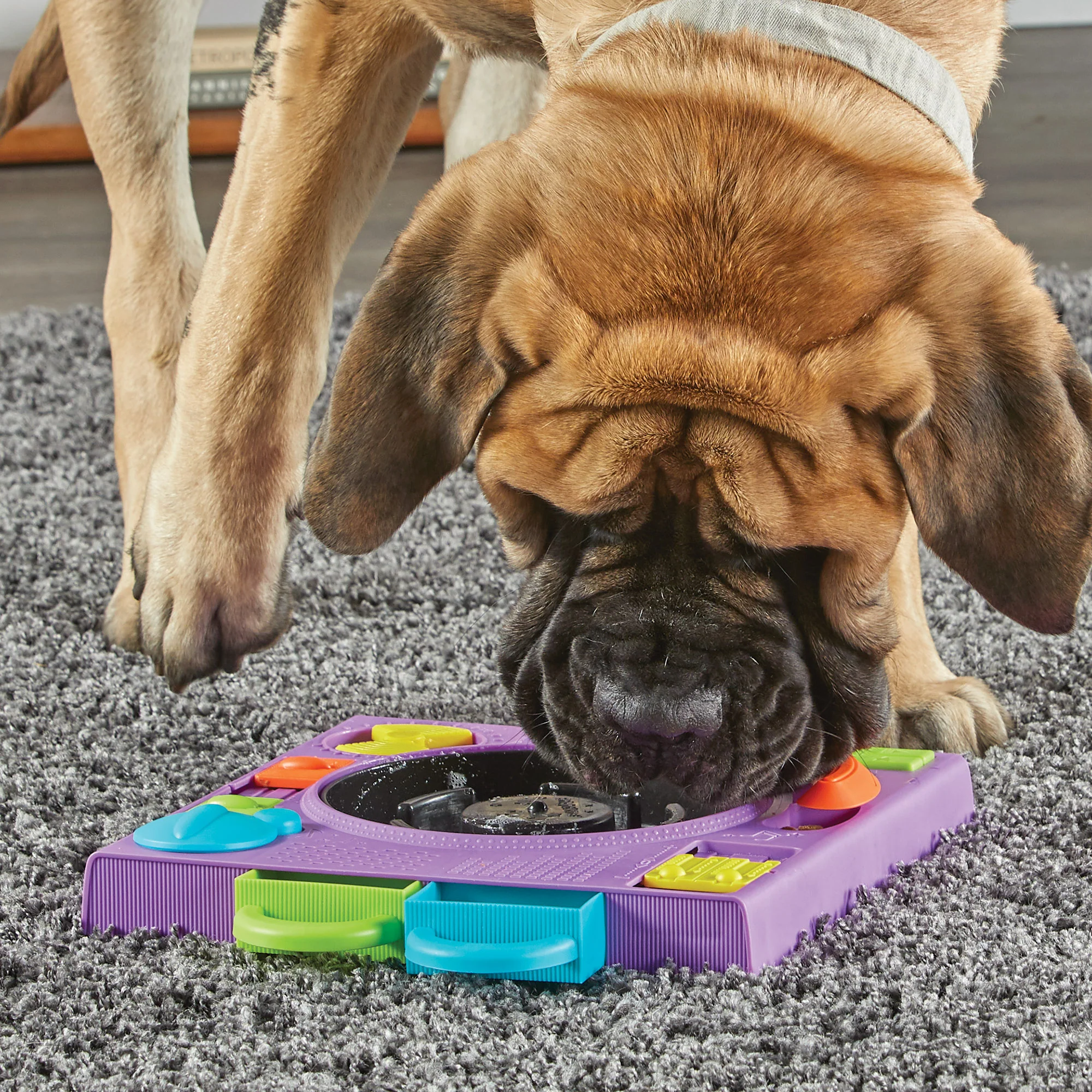 Brightkins DJ Doggo Puzzle Feeder - Image 6