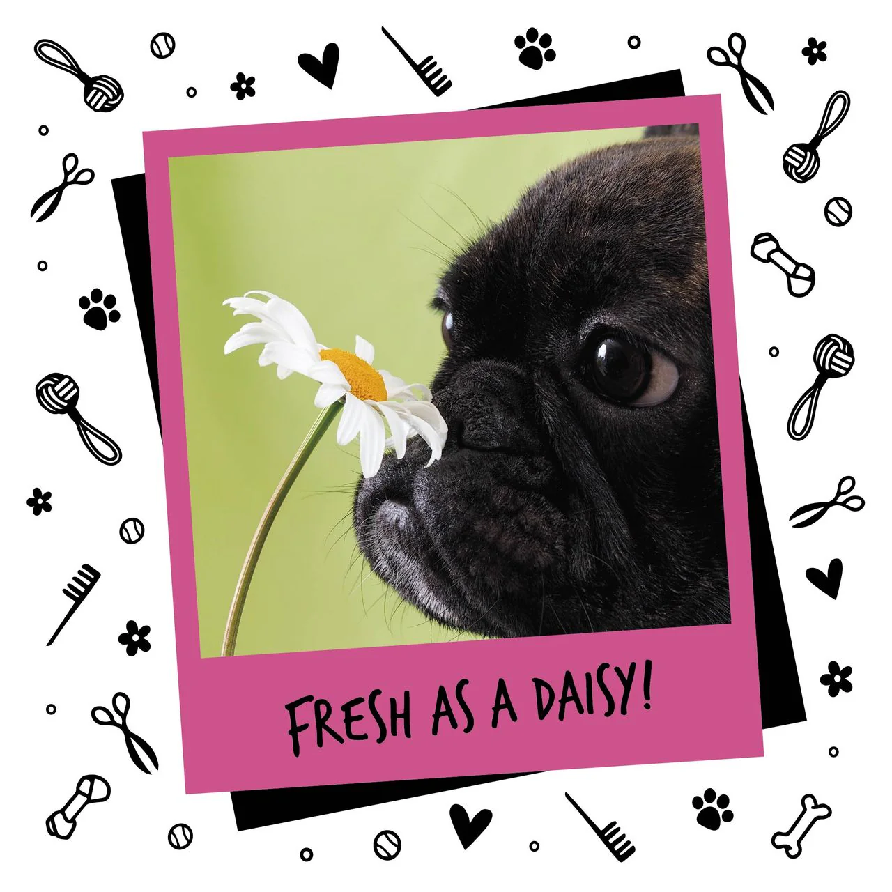 Bugalugs Baby Fresh Dog Cologne - Image 4