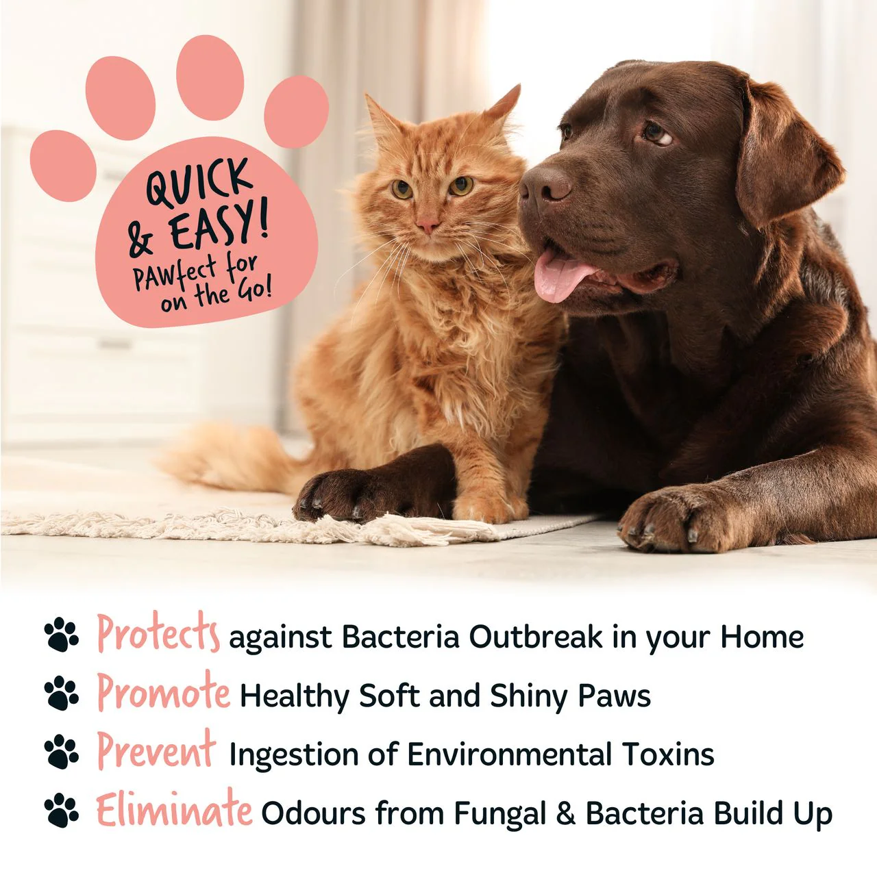 Bugalugs No Rinse Paw Cleaner Papaya & Coconut - Image 11