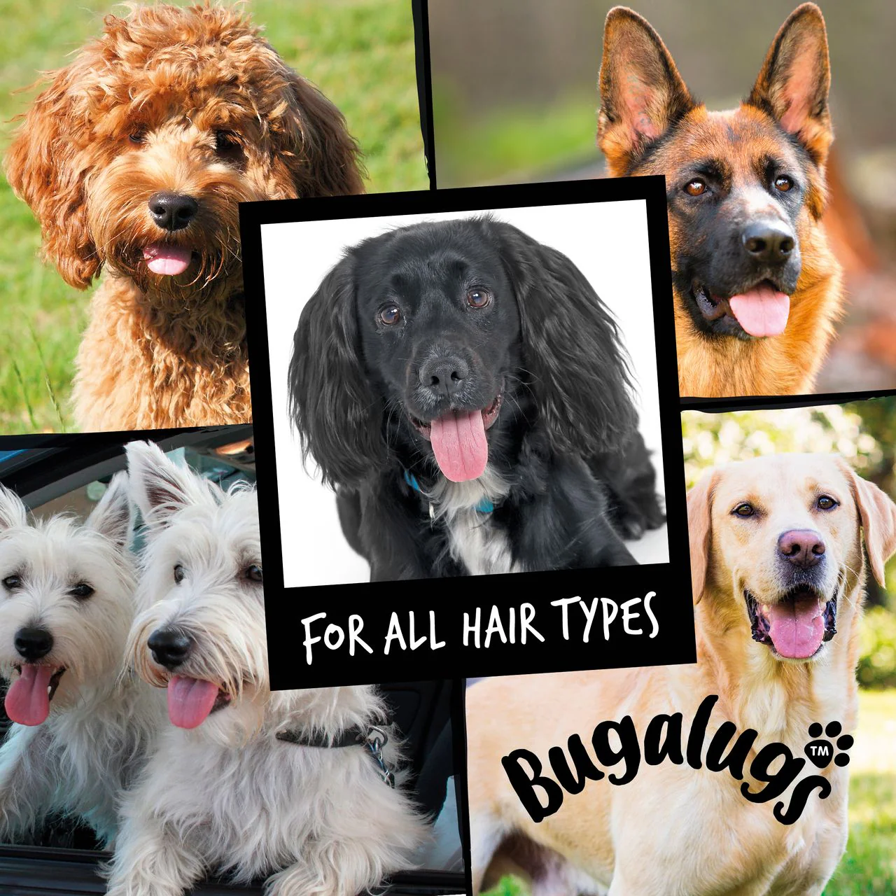 Bugalugs Oatmeal Dog Shampoo - Image 7