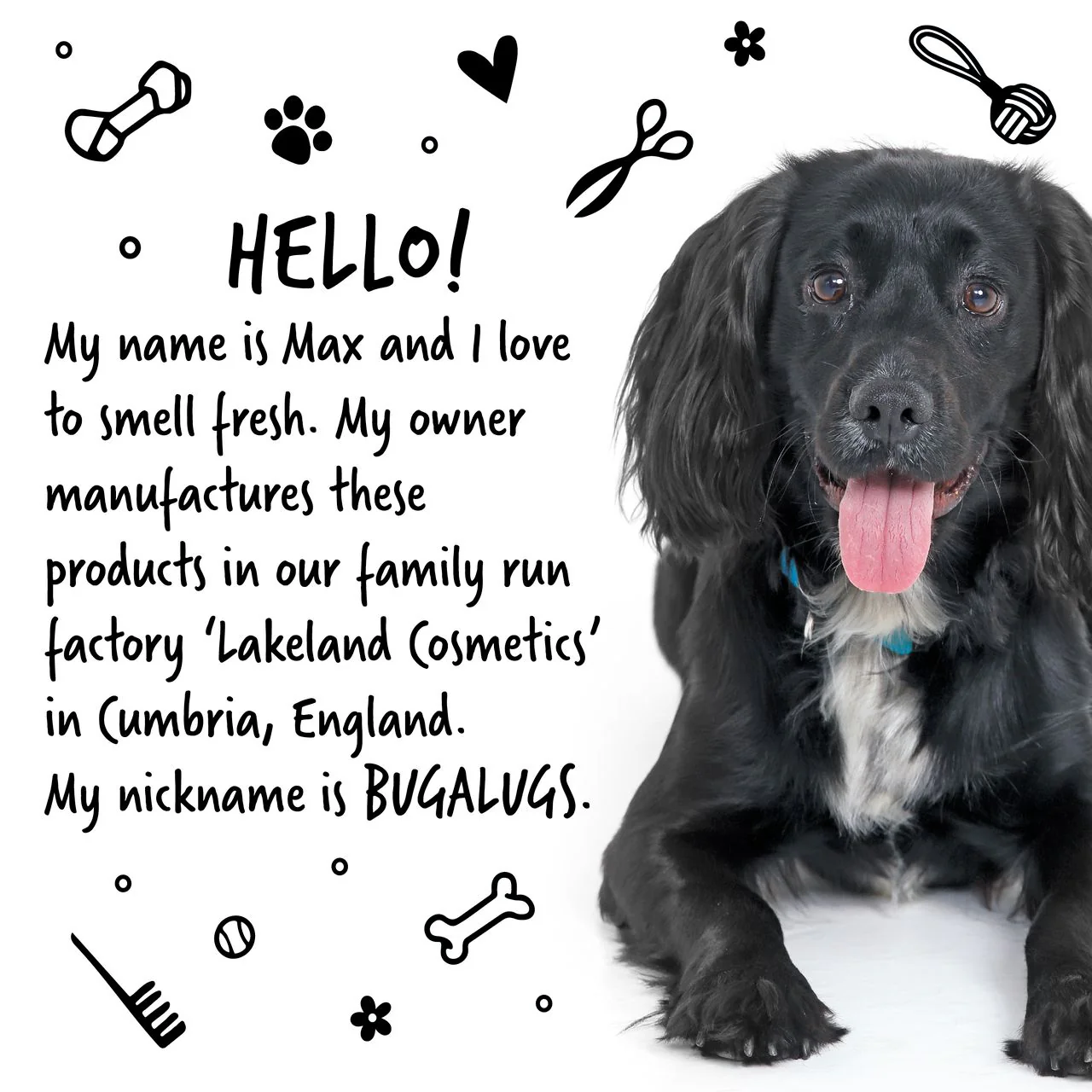 Bugalugs Papaya & Coconut Dog Cologne - Image 10
