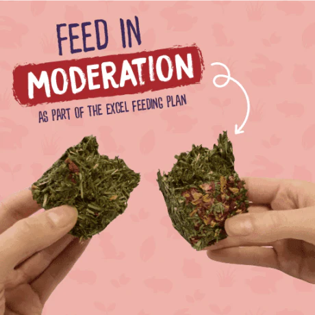Burgess Excel Forage & Feast Hay Bar With Rose 60g - Image 3
