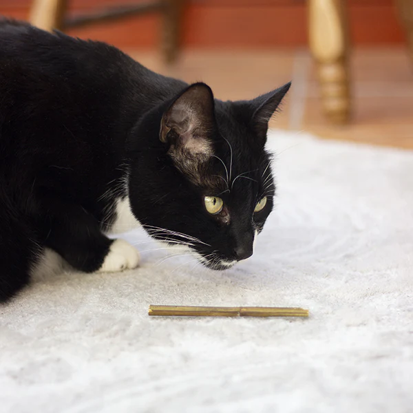 Cat Naturals Catnip Sticks - Image 3