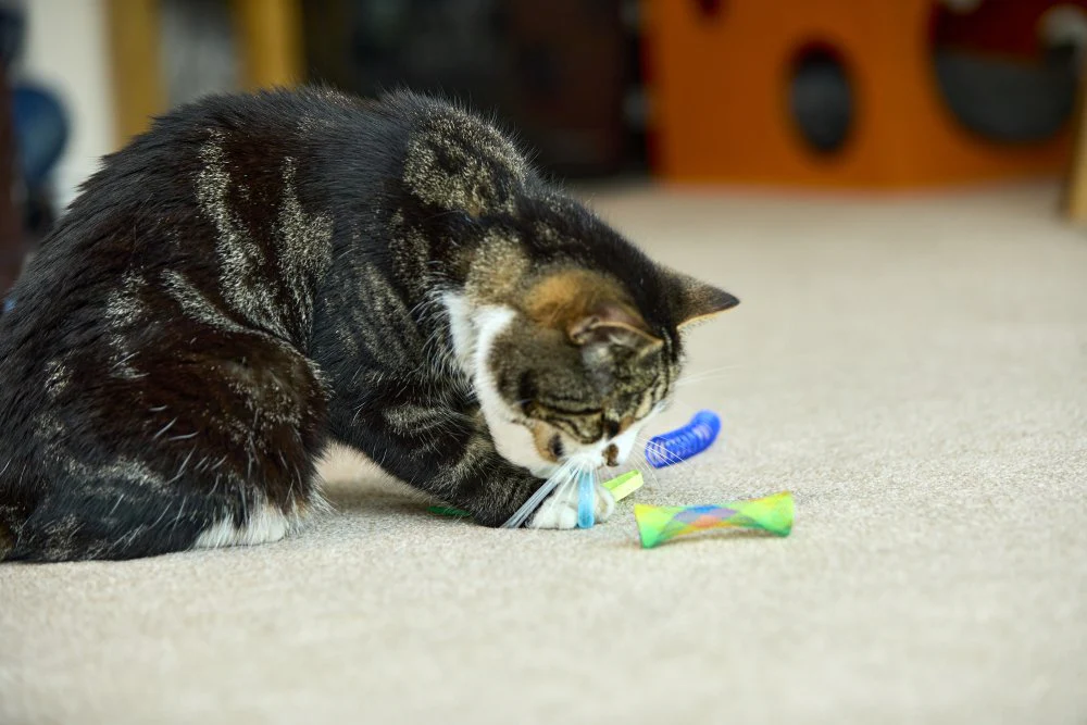 Petface Catkins 3 Springy Cat Toys 3pk - Image 11