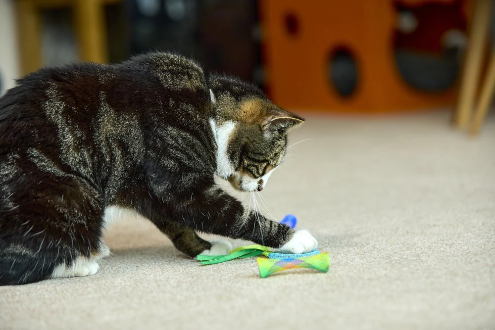 Petface Catkins 3 Springy Cat Toys 3pk - Image 12