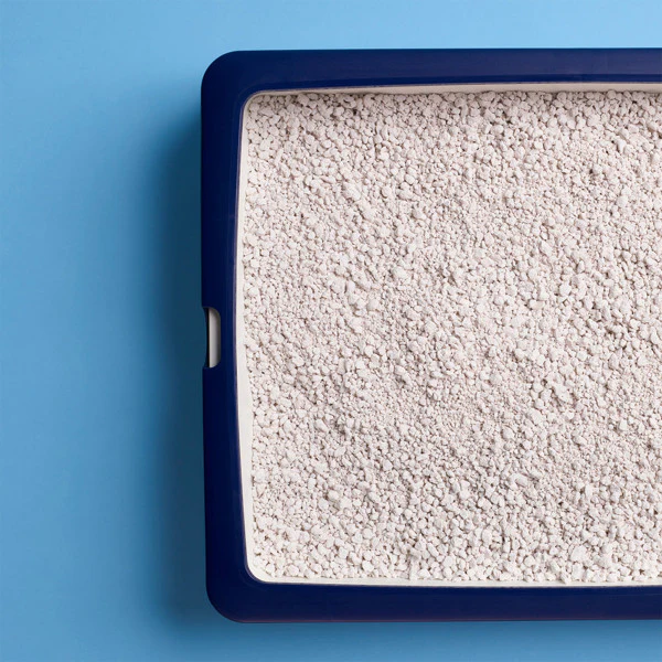 CATSAN Hygiene Cat Litter (2 sizes) - Image 3