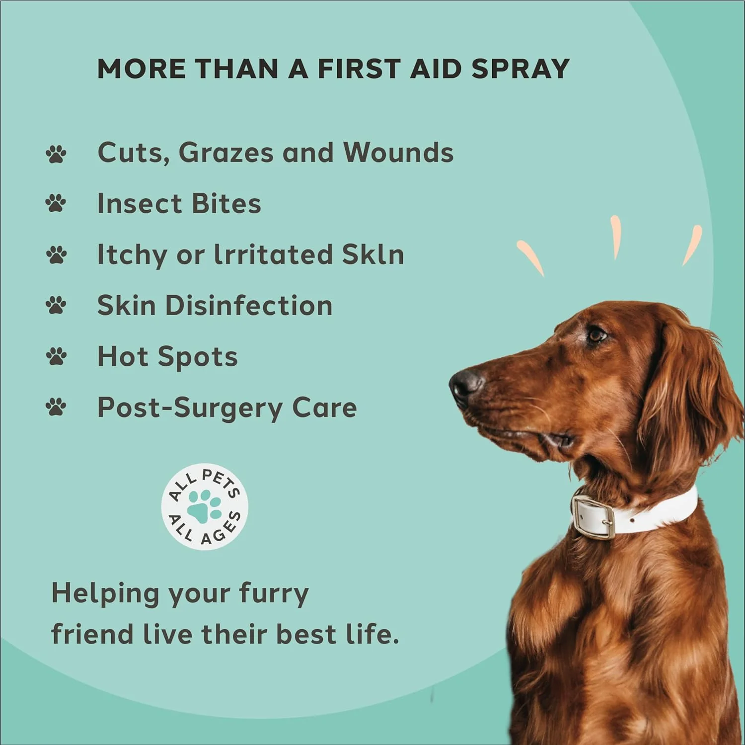 Charlie The Vet Antiseptic Wound & Skin Care Spray - Image 6