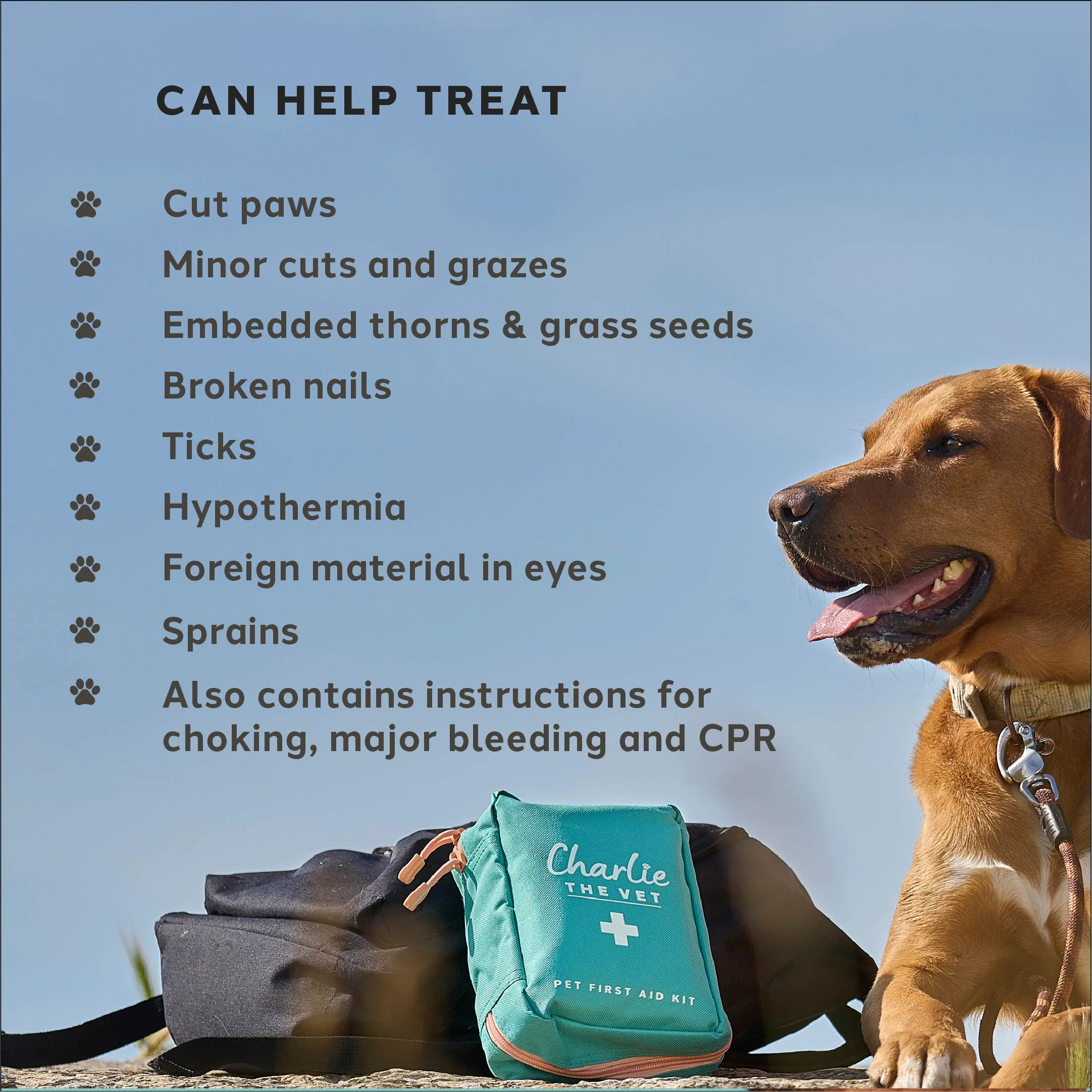 Charlie The Vet Pet First Aid Kit - Image 6