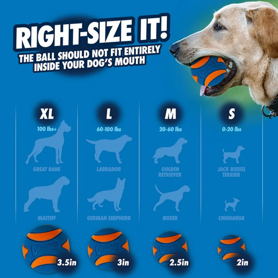 Chuckit! Ultra Squeaker Ball Med (2Pk) - Image 5