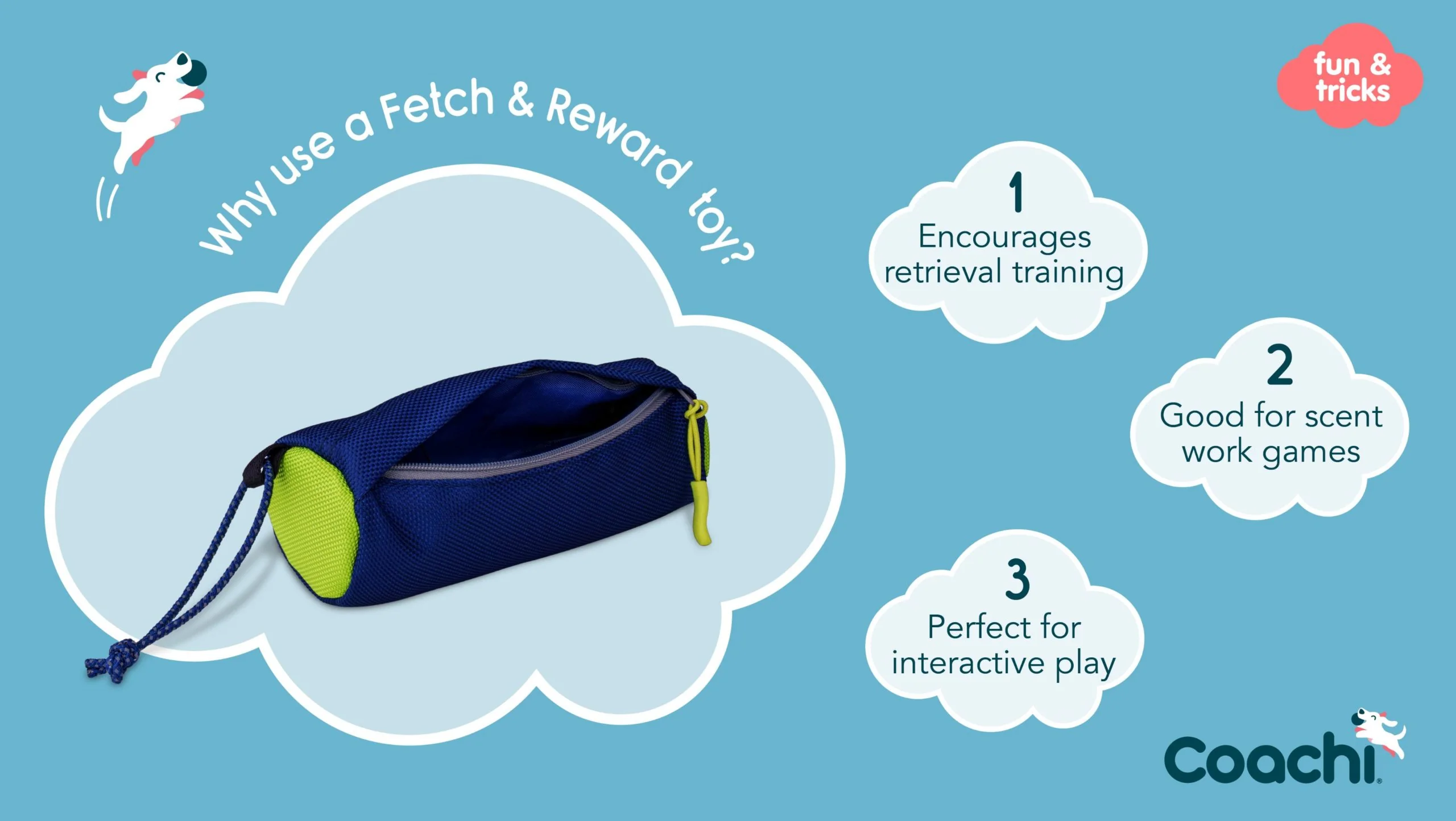 Coachi Fetch & Reward Navy & Lime - Image 6