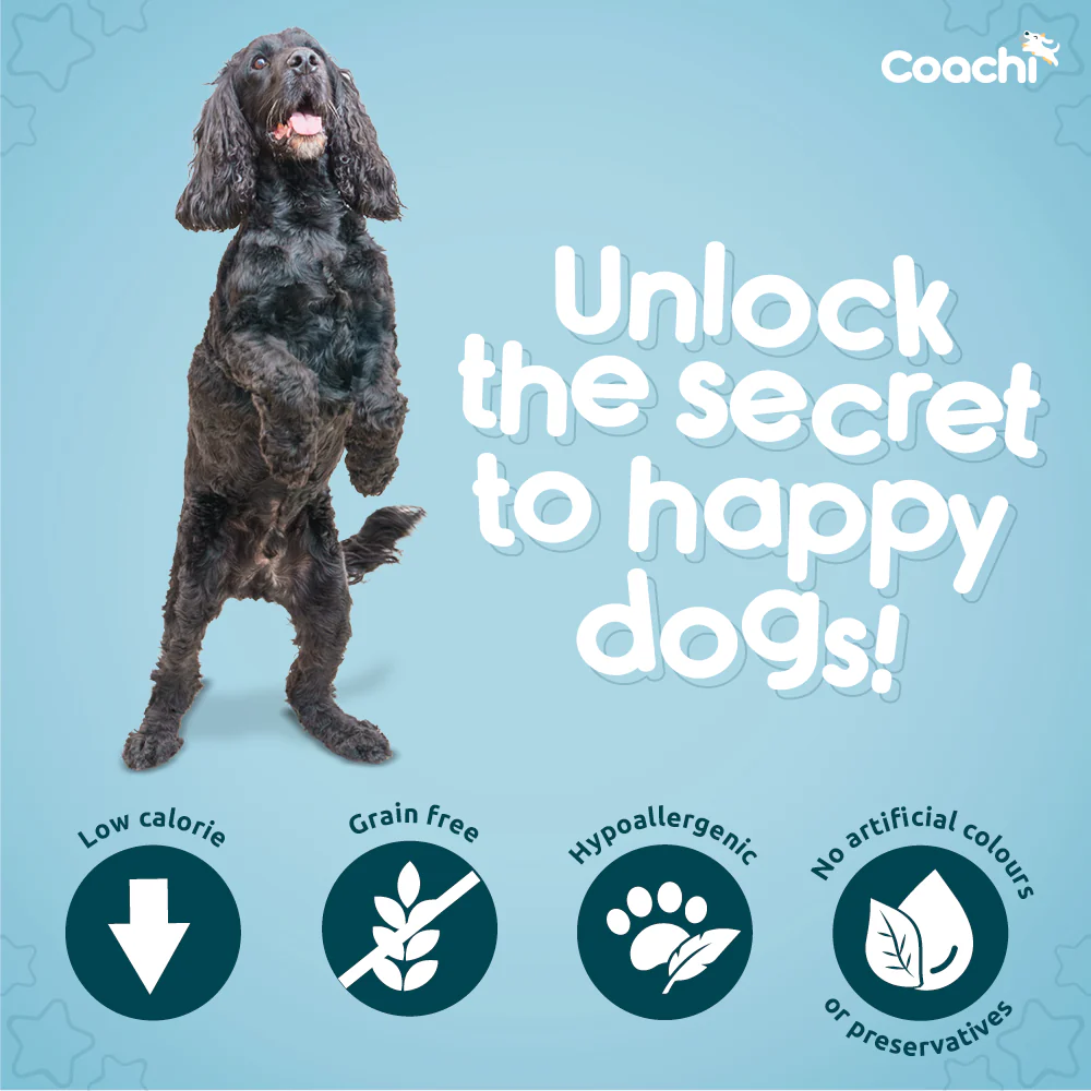 Coachi Natural Calming Treats Turkey - Image 4