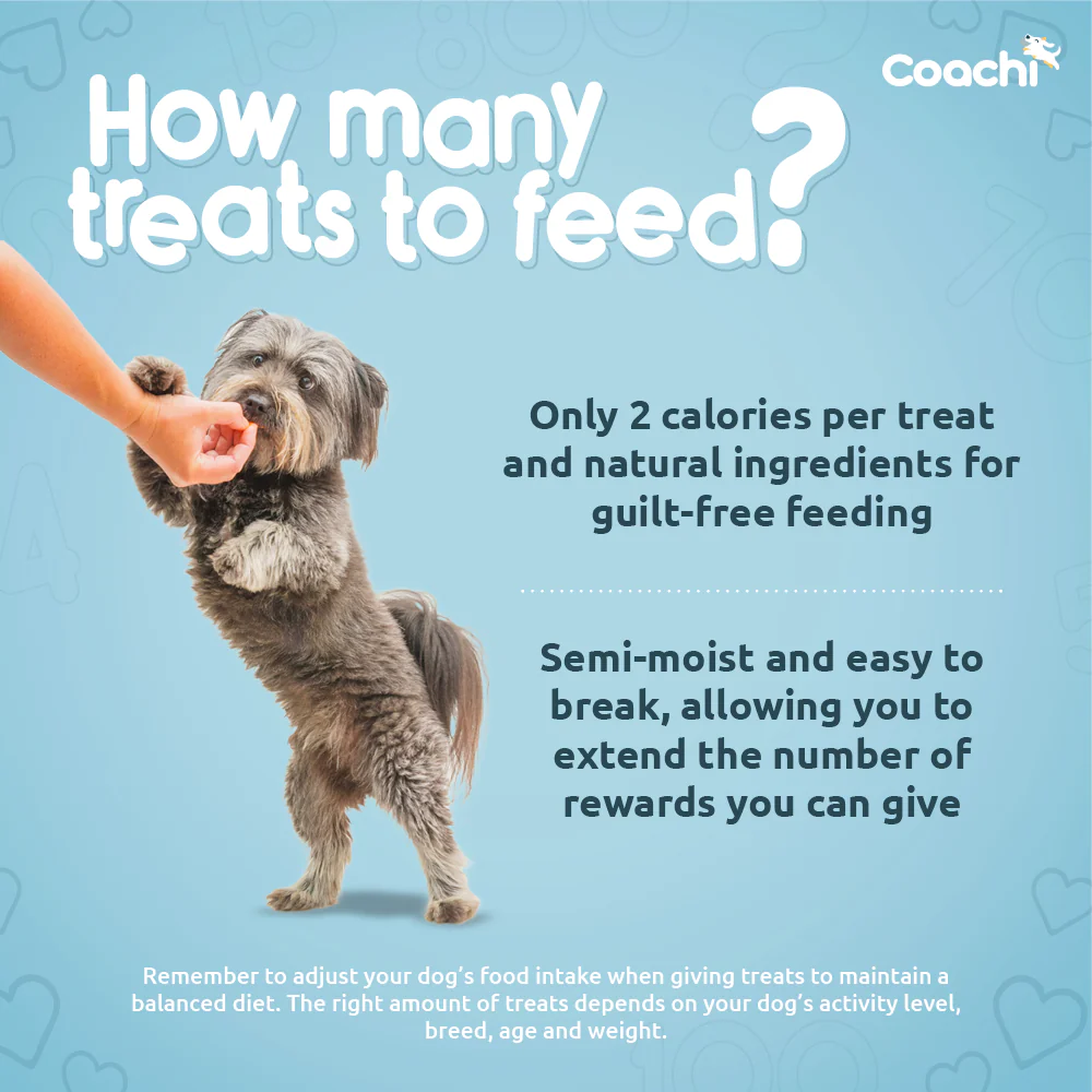 Coachi Natural Training Treats Ocean Fish - Image 3