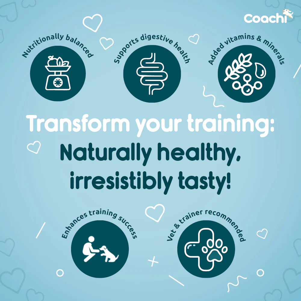 Coachi Natural Training Treats Ocean Fish - Image 4
