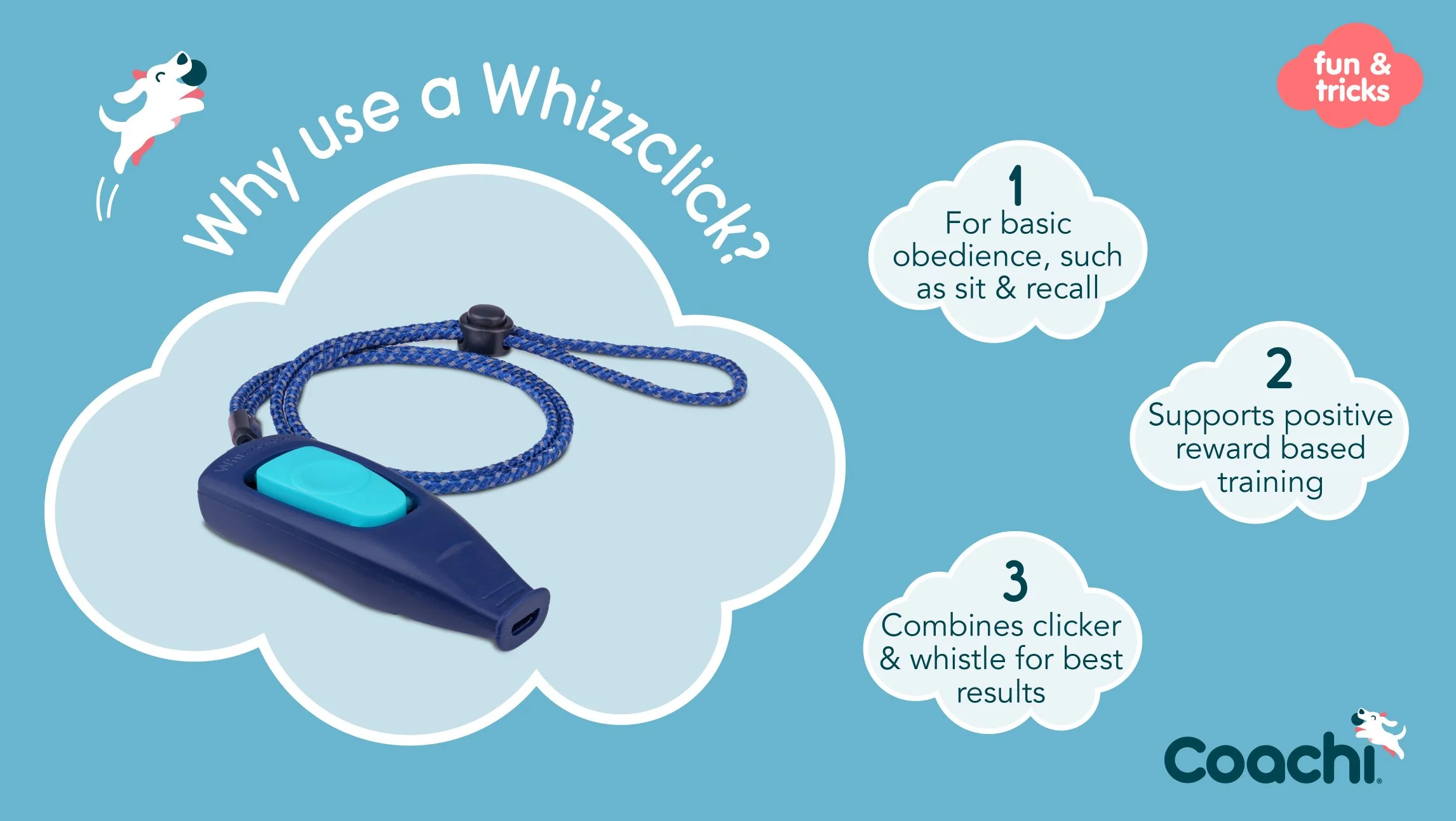 Coachi Whizzclick Light Blue with Navy Button - Image 4