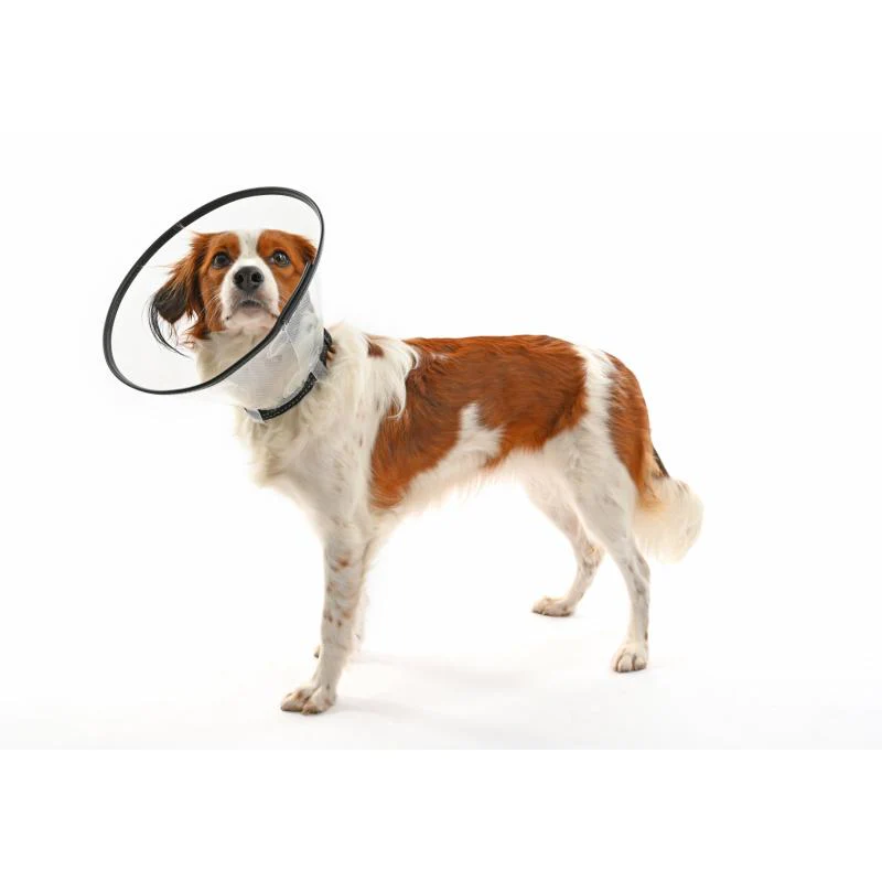 Comfort Collar (7 sizes) - Image 4