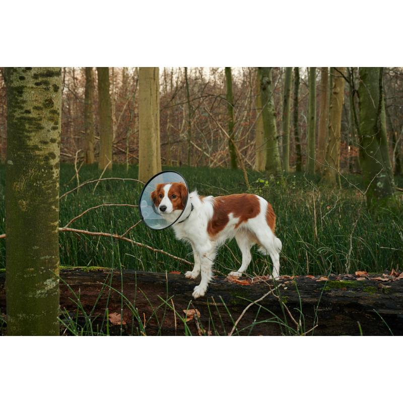 Comfort Collar (7 sizes) - Image 6
