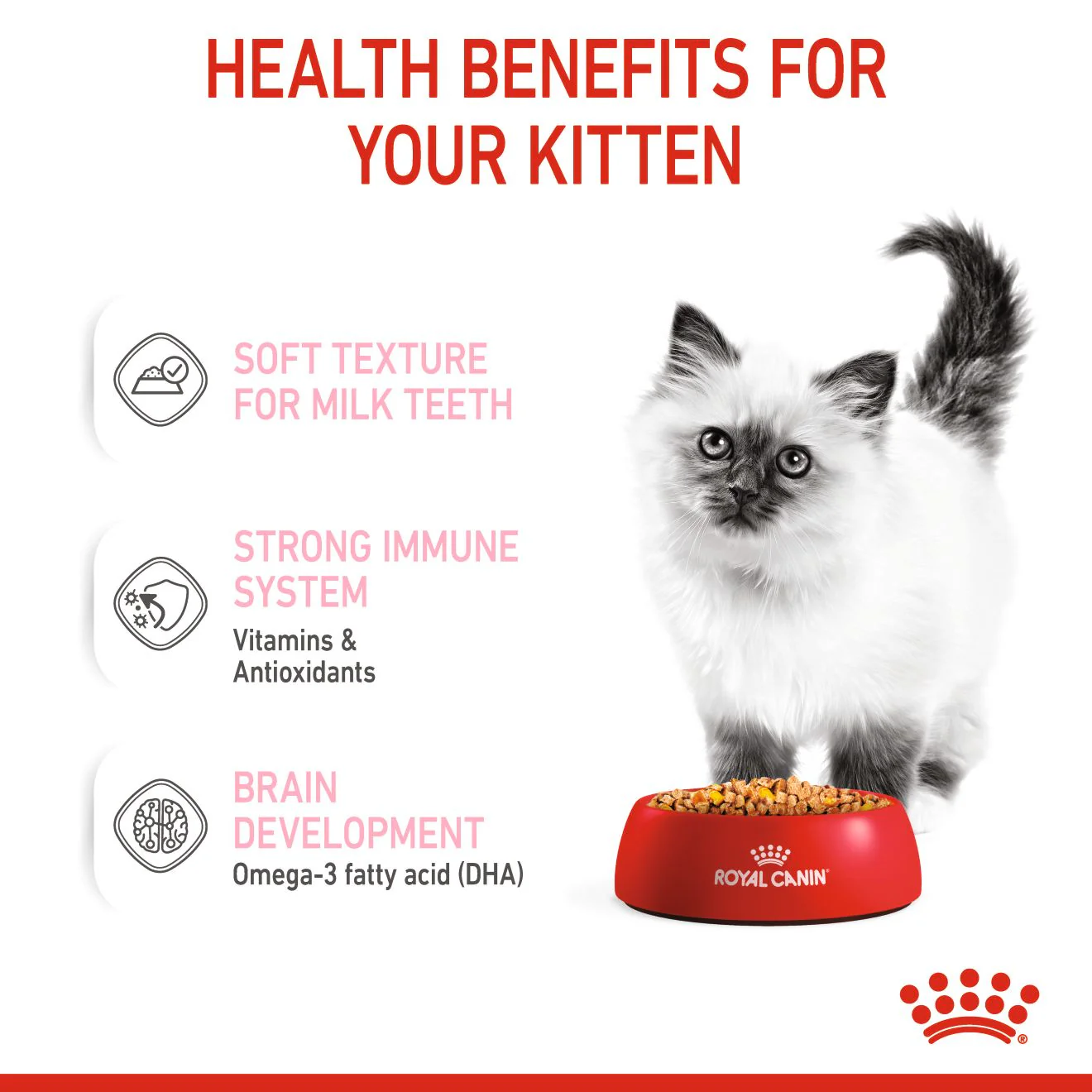 ROYAL CANIN® FELINE HEALTH NUTRITION WET KITTEN Chunks in jelly - Image 4