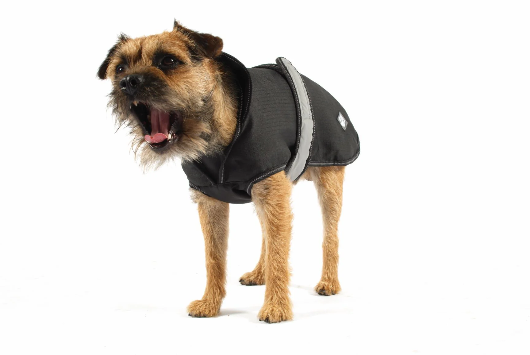 Danish Design 2 in 1 Dog Coat Khaki - Image 2