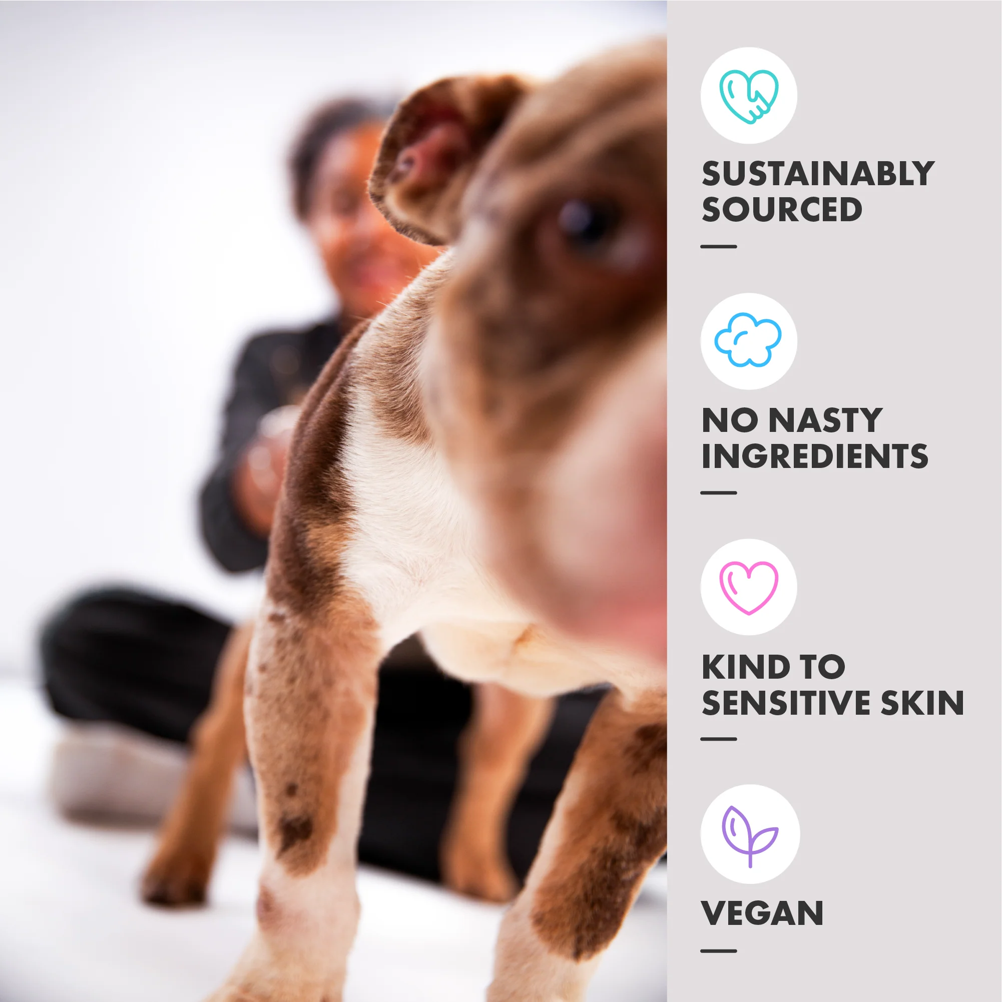 DotDotPet Short Coat Dog Shampoo - Image 2