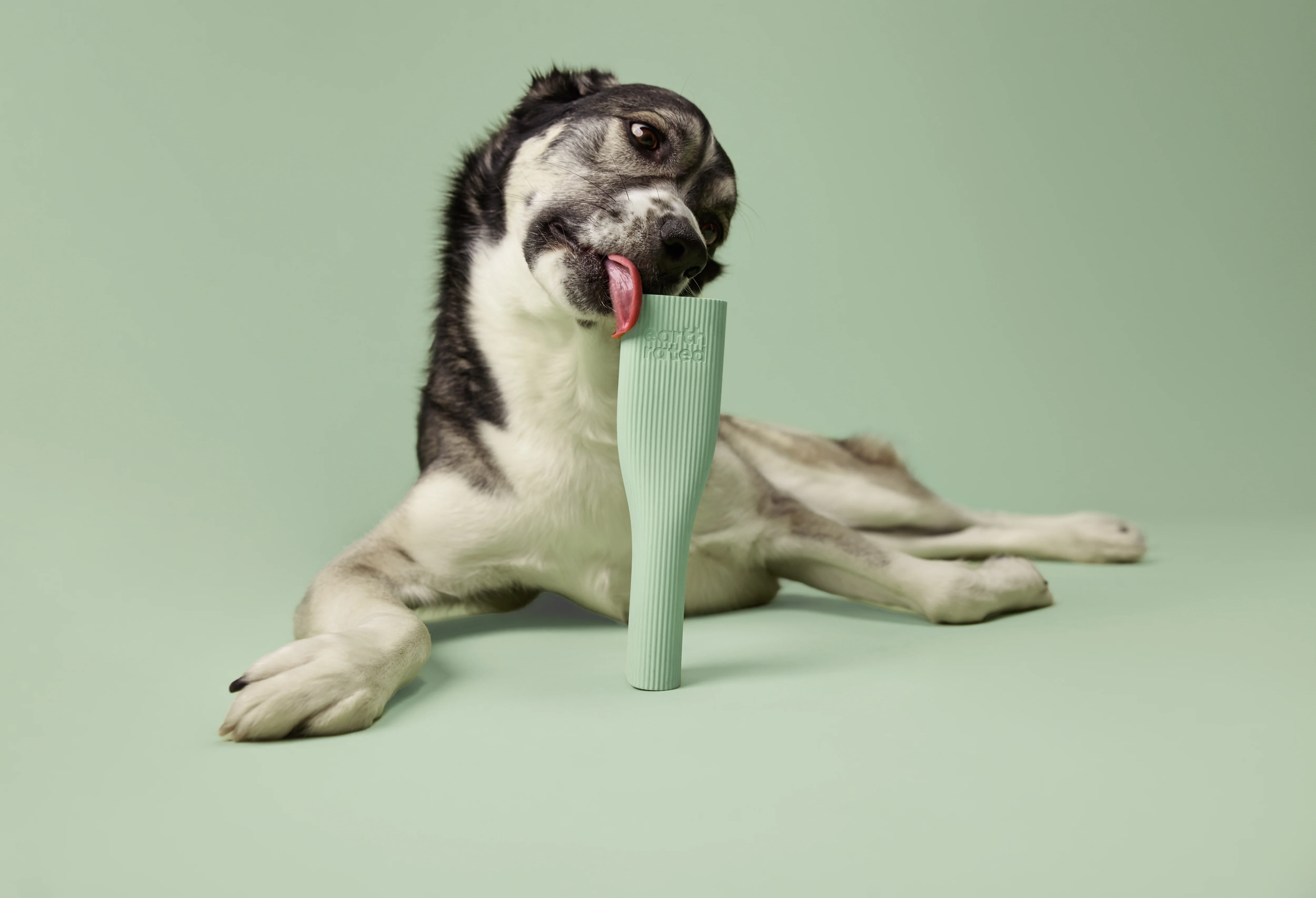Earth Rated Chew Toy Rubber (2 sizes) - Image 10
