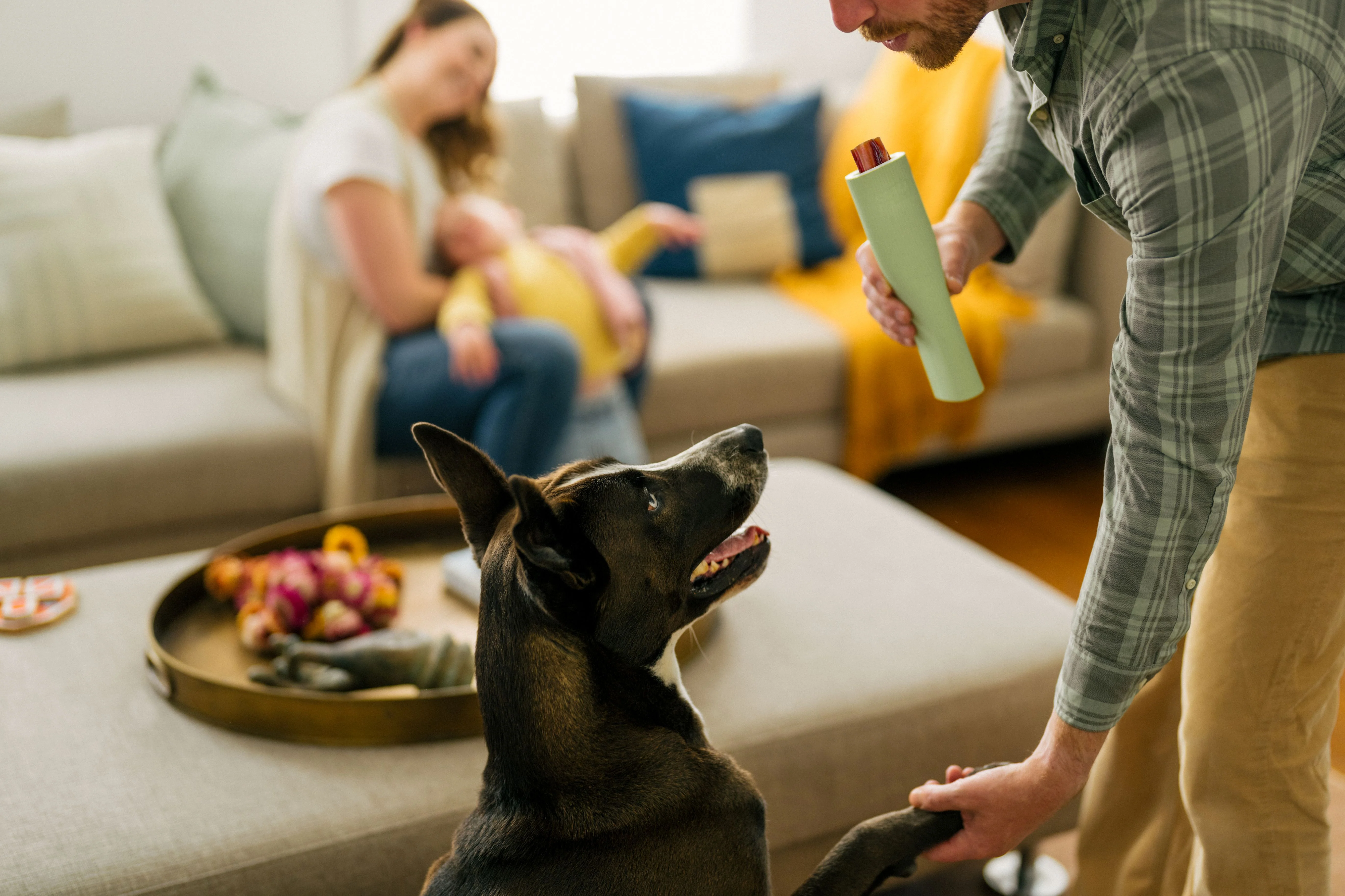 Earth Rated Chew Toy Rubber (2 sizes) - Image 12