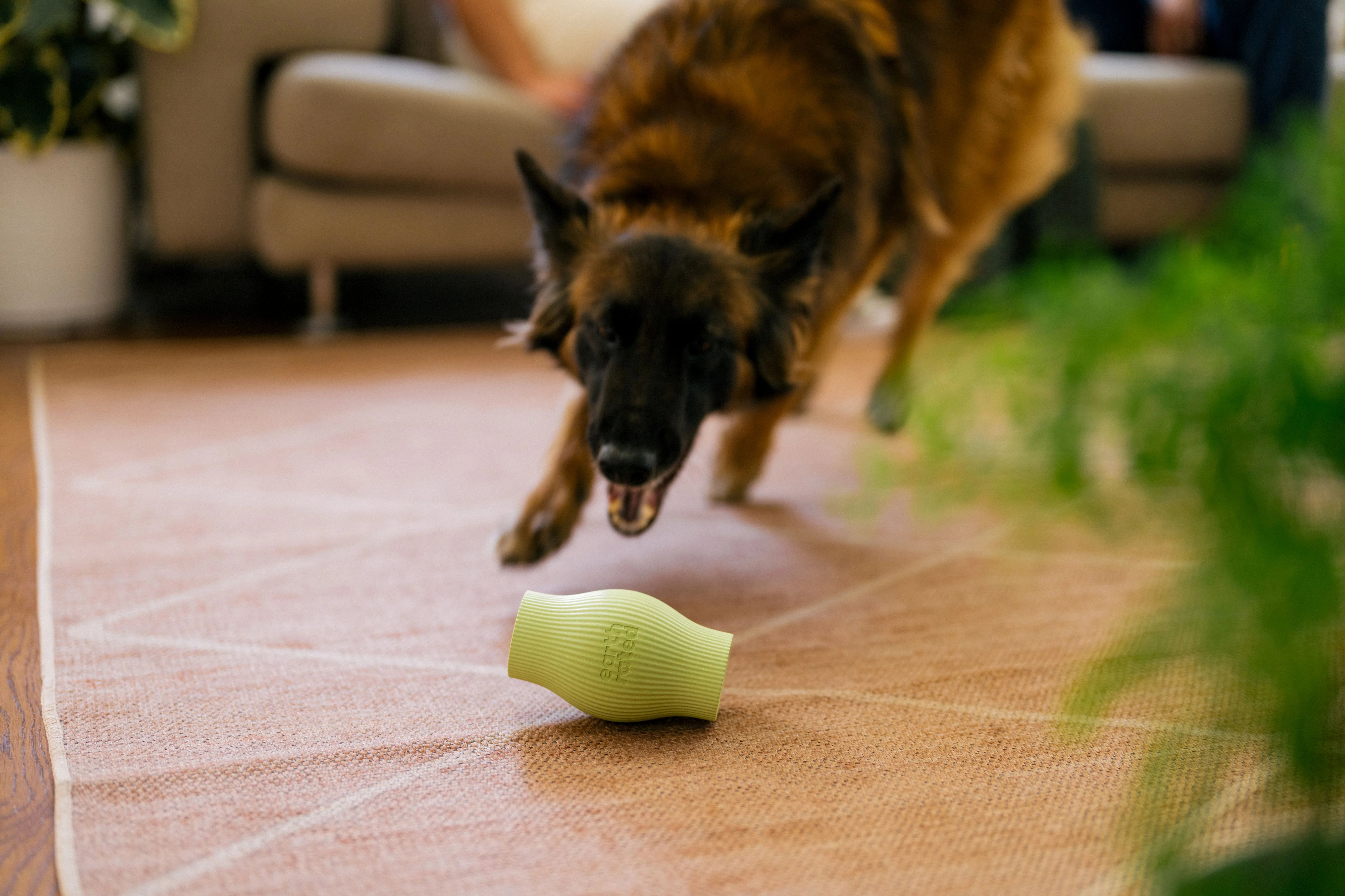Earth Rated Treat Toy Rubber (2 sizes) - Image 10