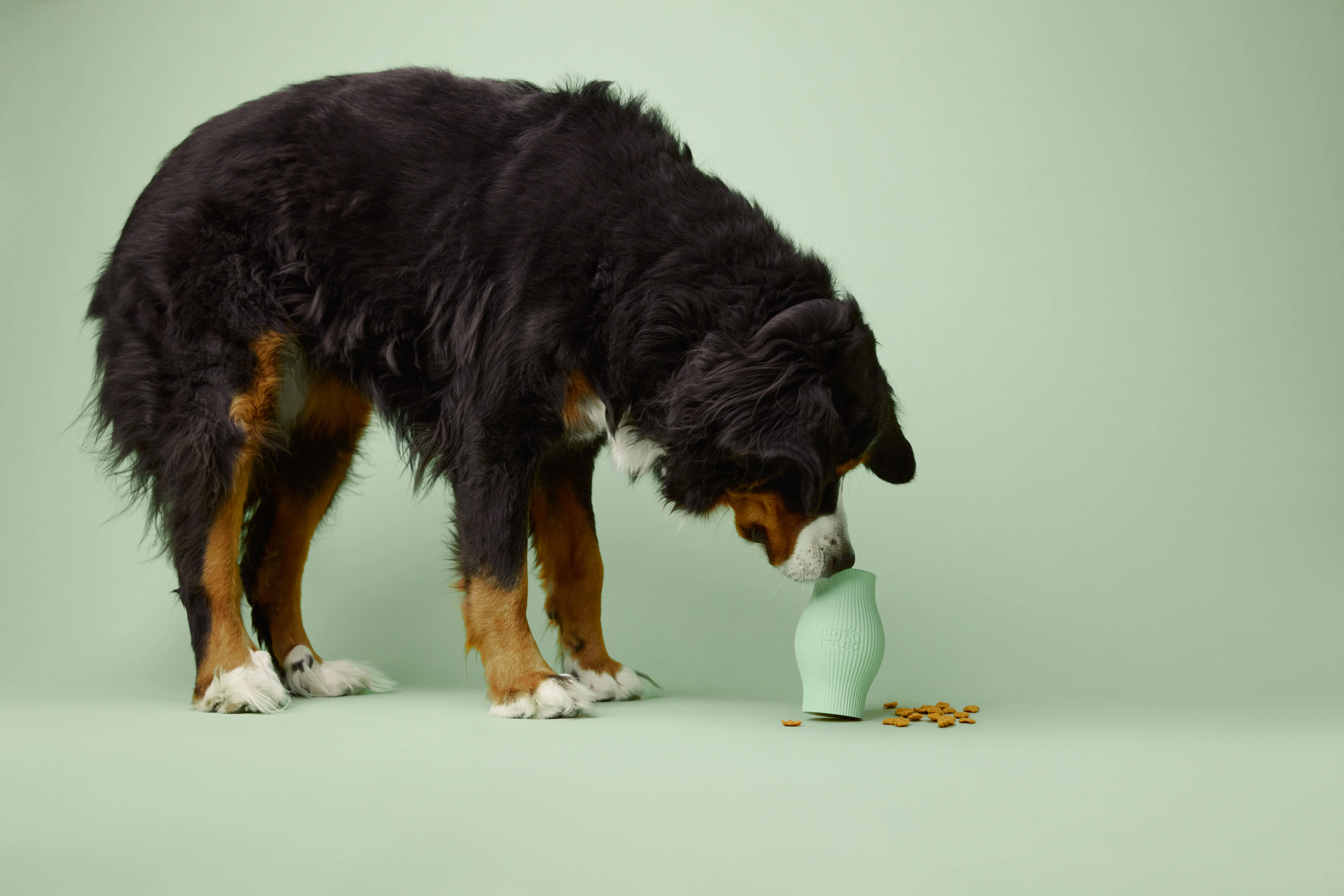 Earth Rated Treat Toy Rubber (2 sizes) - Image 11
