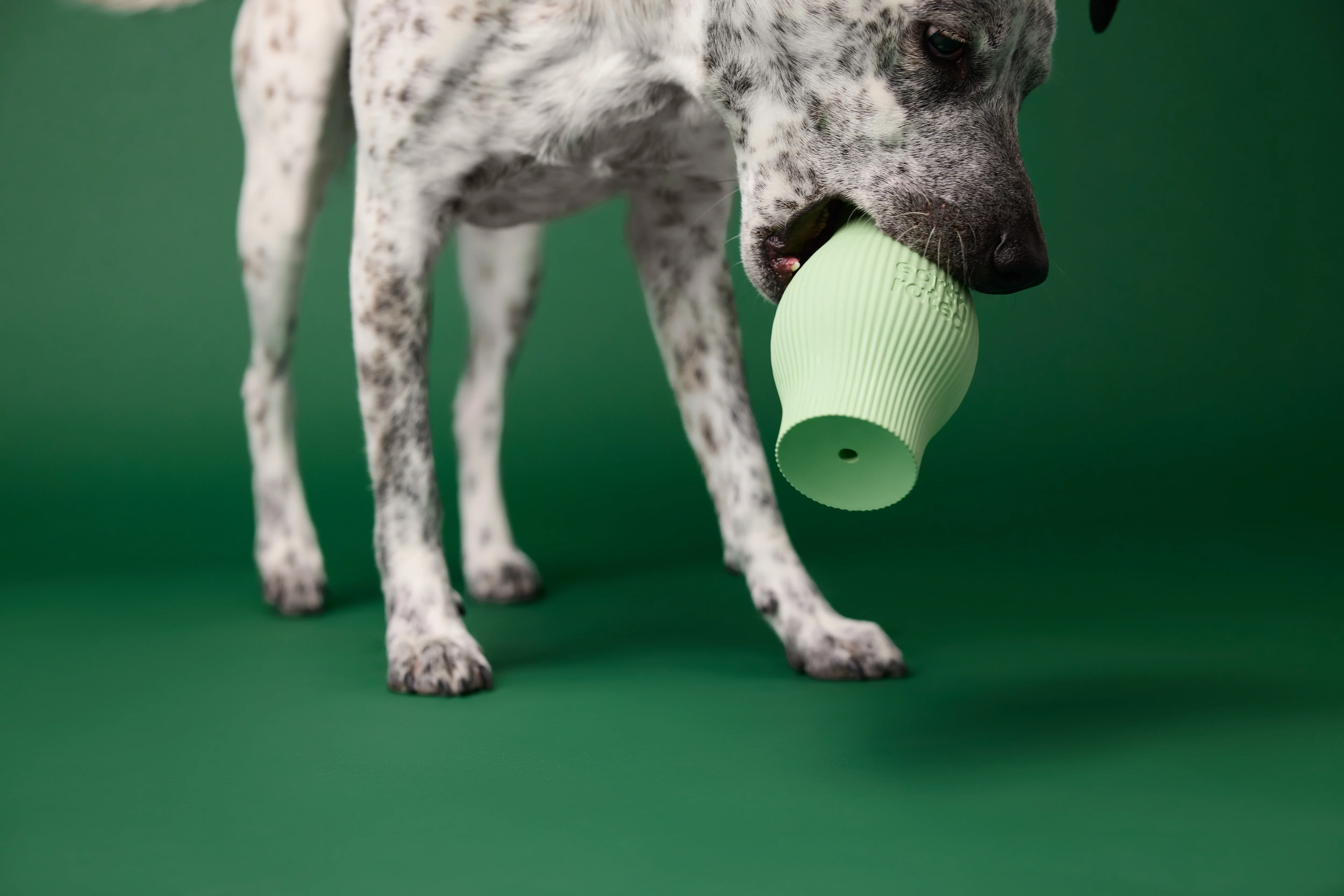Earth Rated Treat Toy Rubber (2 sizes) - Image 3