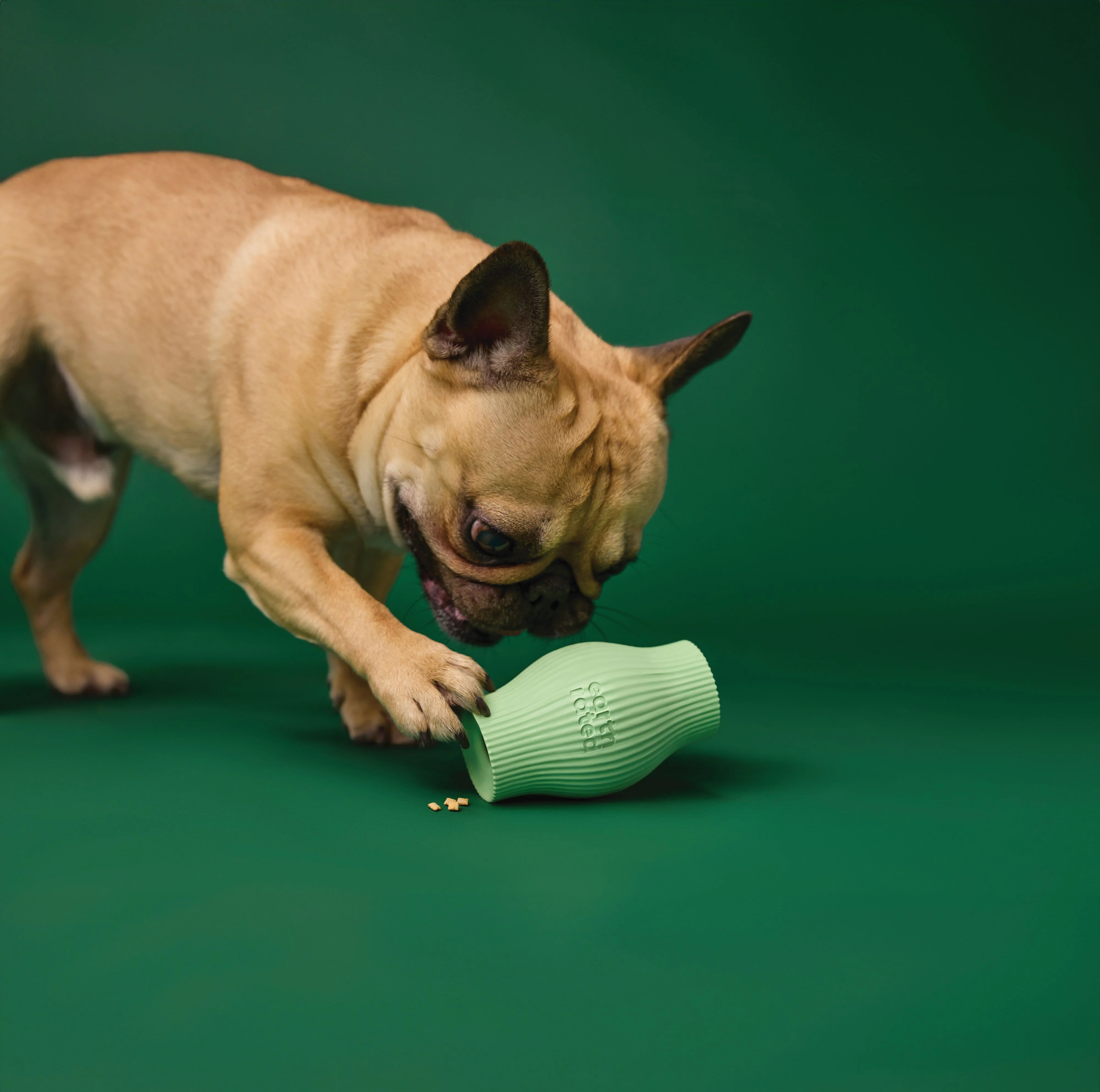 Earth Rated Treat Toy Rubber (2 sizes) - Image 5